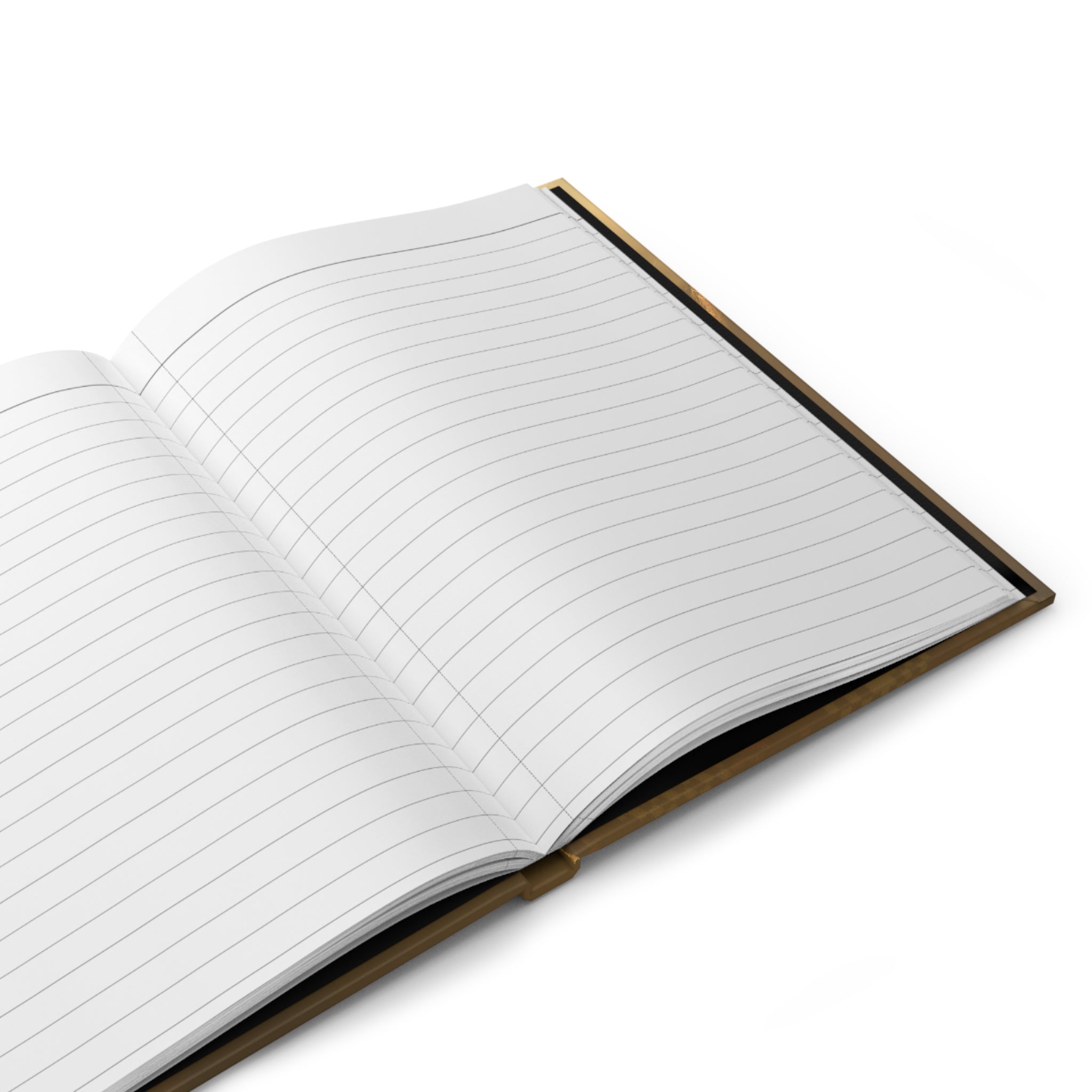 Sobriety Journey Hardcover Journal — Looking to the Light