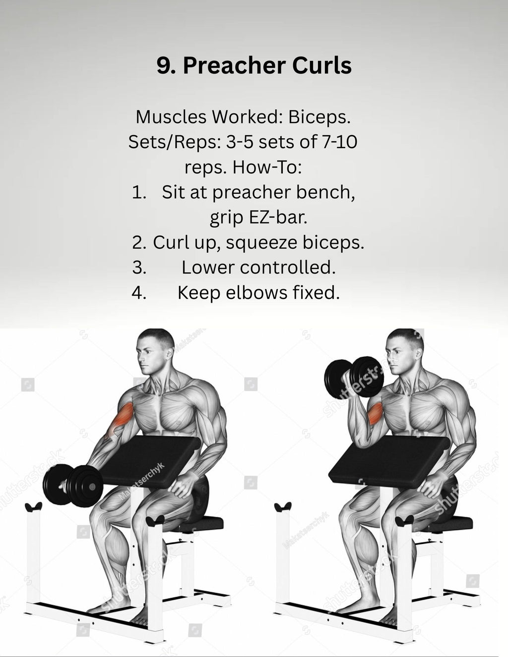 Back & Biceps Strength Training Plan – Day 2 Guide