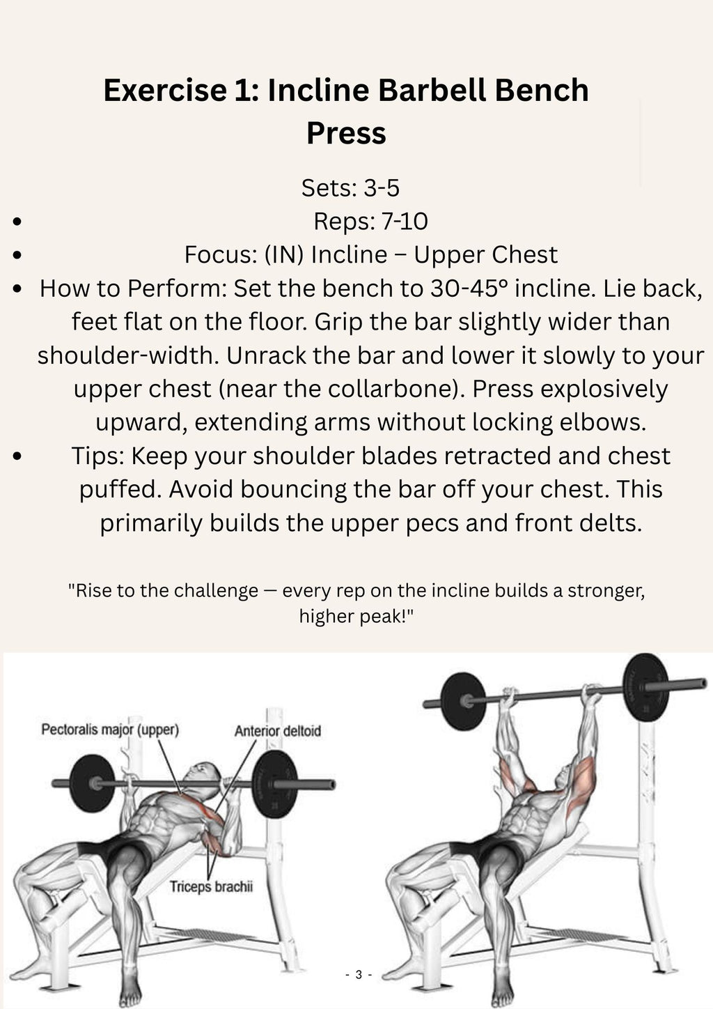Day 1 Incline & Decline Workout Guide for Recovery